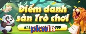 pkwin